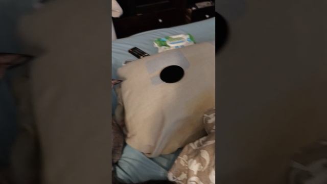 ОПЯТЬ ВСЕ ИСПОРТИЛА, ручная летучая мышь САРА #life #lifestyle #travel #cats #spain смотреть онлайн