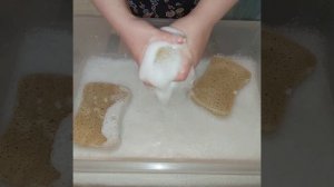 ASMR🧽💧🌲 Golden Pine Mix🌲💧🧽