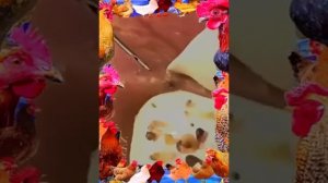 ВЫДАВЛИВАНИЕ ПРЫЩЕЙ ЧИСТКА ЛИЦА🍀🌿