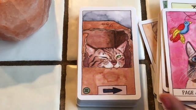 Cat Tarot + Review смотреть онлайн
