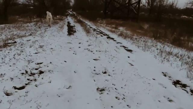 Яшма сегодня,29.10.20г.