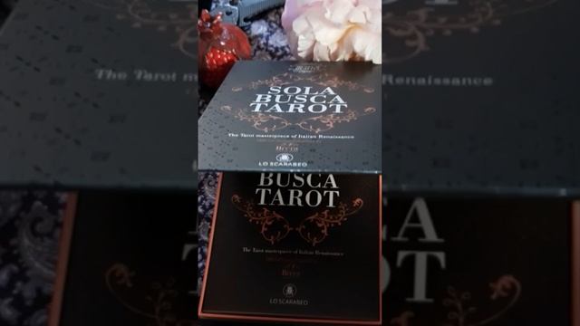 Первая колода в Европе с прорисованными Младшими Арканами #таро #солабуска #solabusca смотреть онлайн