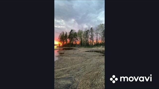 Гладь и камыш на закате смотреть онлайн