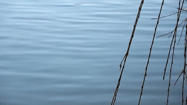 Priče Sa Vode Ep. 233 19.03.2024. Na Obodu Zimovnika