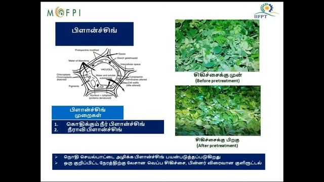 Moringa Process - Tamil смотреть онлайн