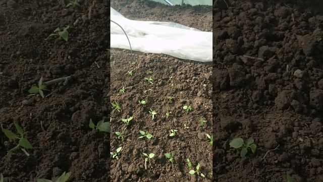 як кажуть.... понеслось... робота почалась смотреть онлайн