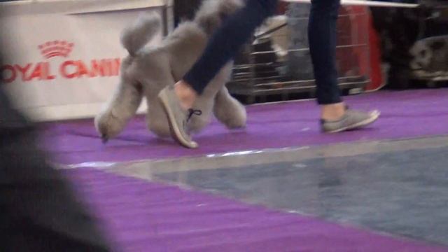 00030Моно Екб. 2015. Экзотика. Берноль-Классик Диамант смотреть онлайн