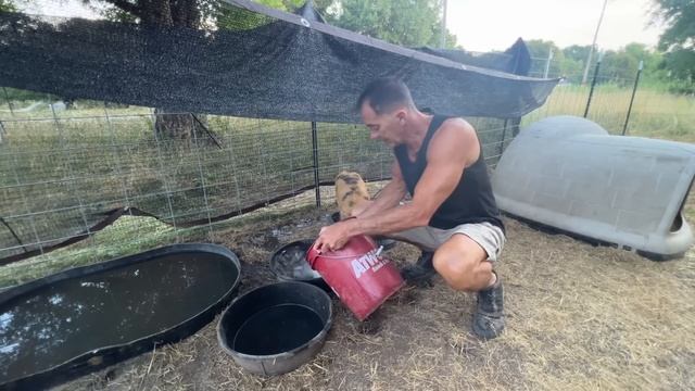 Dangerous Job, But We Had NO Choice! смотреть онлайн