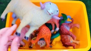 Тзучаем животных! Лучшие обучающие видео  для детей дошкольного возраста