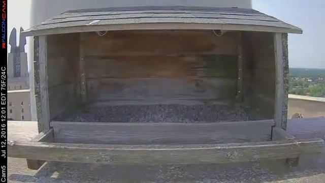 Camera 5 - 07/12/16 смотреть онлайн