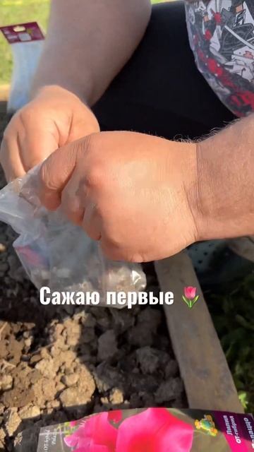 На грядке из обрезков появились первые цветы #цветы на грядке #лилия #лилии #грядка из мусора #дача смотреть онлайн