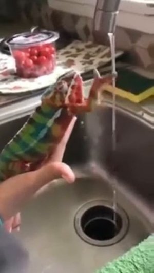 голые девушки