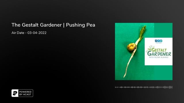 The Gestalt Gardener | Pushing Pea