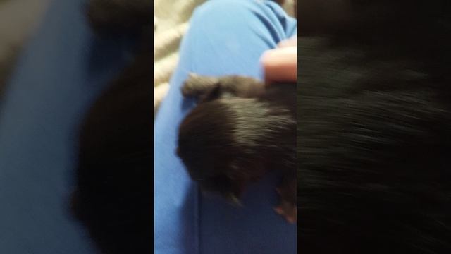 катята смотреть онлайн