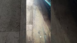 замена гусянки  Yamaha ВК 540 3 поколения как вставить ведомый вал гусянки