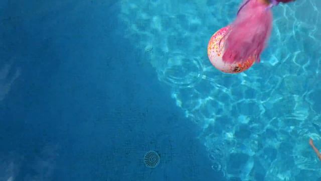 Bien fait pour lui 🤣🤣 je lui fais un prank смотреть онлайн