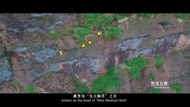 IoT Based Yingtan The World's First 5G Powered Digital Twin City смотреть онлайн