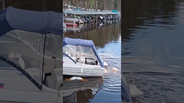 Конаково лодочная станция Фрегат смотреть онлайн