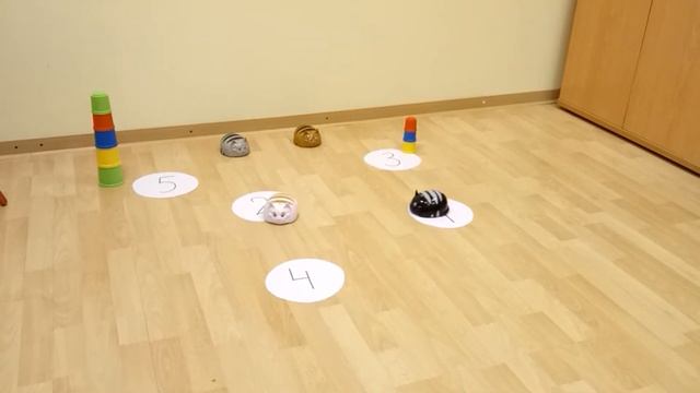 НОВЫЕ ДРУЗЬЯ НАШИХ РЕБЯТ "CLEVER CATS" - УМНЫЕ КОТЫ смотреть онлайн