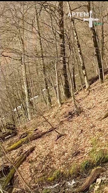 Сочи! Красная поляна! Водопад Кейва! Подписывайтесь! Активный отдых! Природа! смотреть онлайн