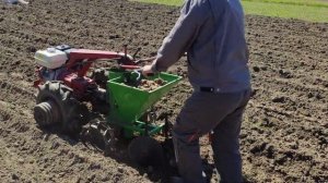 Посадка картошки мотоблоком МТЗ-09Н.