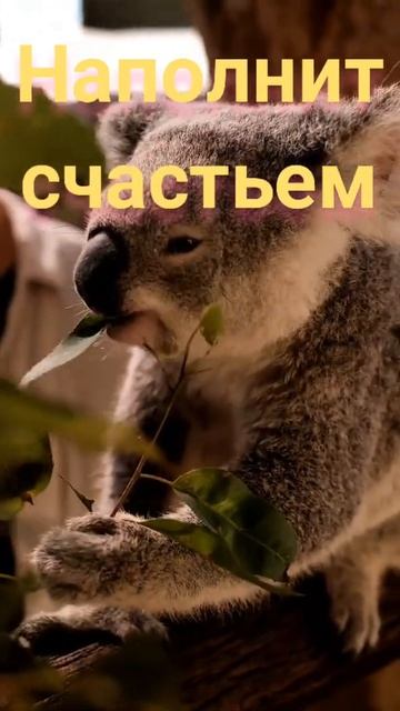 С добрым утром! Скорей открой глаза свои и посмотри на мир прекрасный! смотреть онлайн