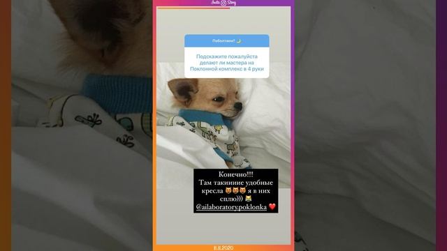 Insta Story | Айза Долматова (@aizalovesam) Инстаграм Сторис | 11.11.2020 смотреть онлайн