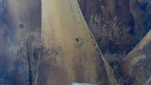 13072010324 смотреть онлайн