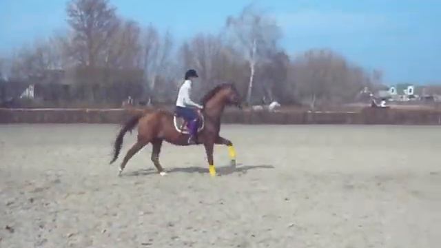 Гастролер смотреть онлайн