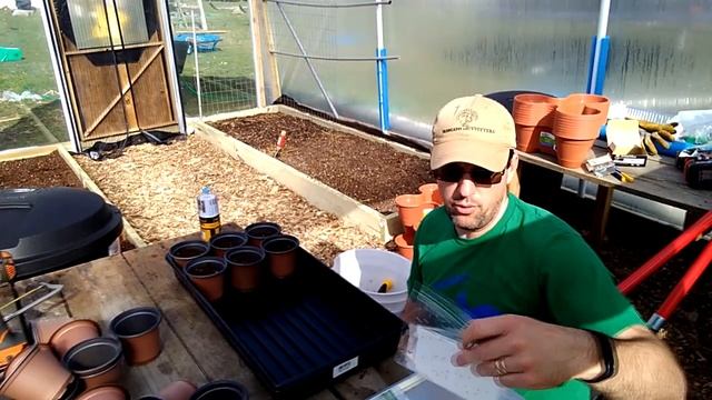 Growing Unique Tomato Varieties | Michigan Greenhouse Updates смотреть онлайн