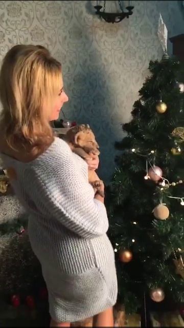 Зимняя фотосессия с тигренком. Photoshoot With A Lil Tiger.