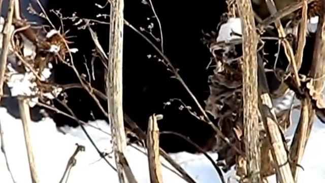 Мое измененное видео смотреть онлайн
