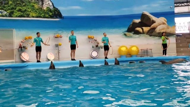 Travel Series Season 1 Part 8 Episde 1- Dolphins Bay Phuket #dolphin #phuket #thailand #travelvlog смотреть онлайн