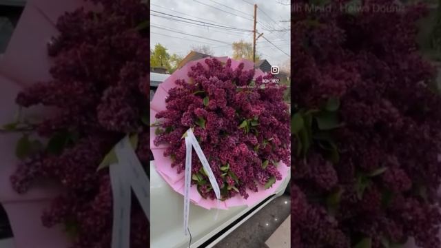 "Пока есть высота, - ещё летать возможно"!💖🪂💝 смотреть онлайн