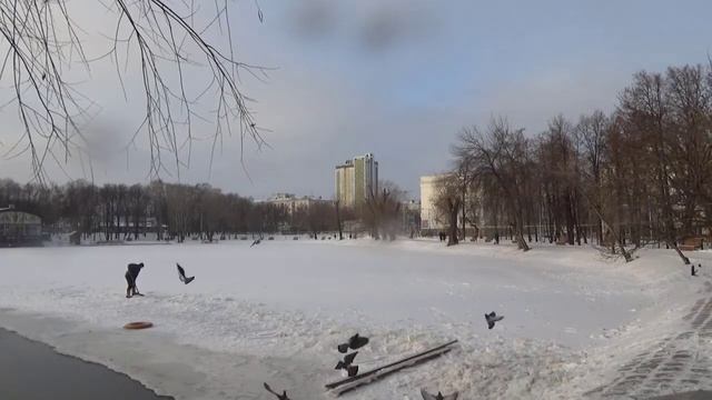 10 декабря 2017 г."Белые Куницы" Видео день за днём. смотреть онлайн