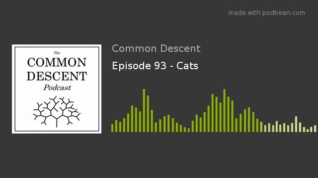 Episode 93 - Cats смотреть онлайн