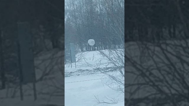 28 апреля 2022 г.(3) смотреть онлайн