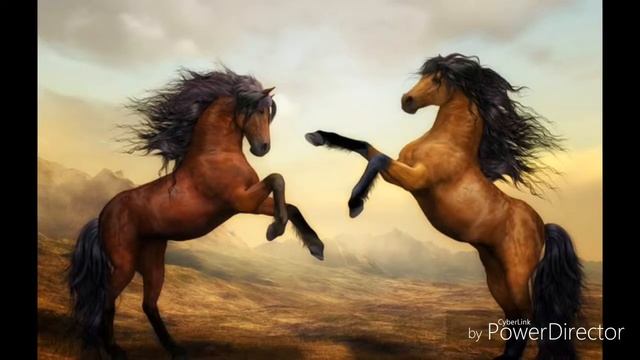 Я не буду больше боятся конная версия❤ смотреть онлайн