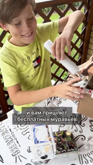 Ссылка в описании, Муравьи в ПОДАРОК!☺️🐜 #муравьи #муравьинаяферма #формикарий #хобби #интересно смотреть онлайн