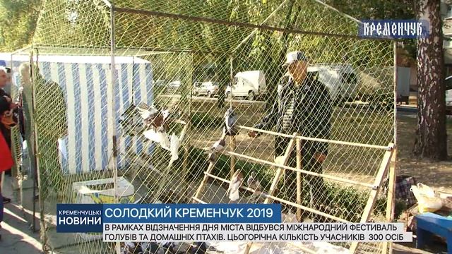 Міжнародний фестиваль голубів та домашніх птахів смотреть онлайн
