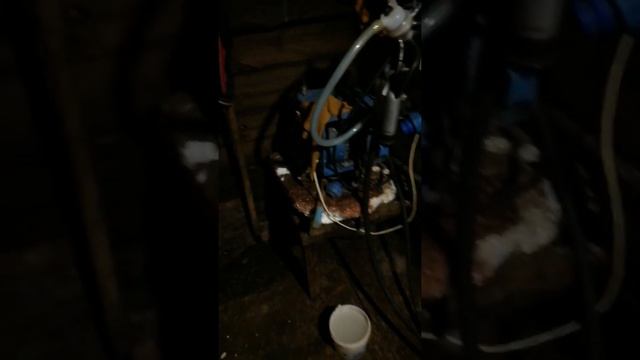 Удобная стайка смотреть онлайн