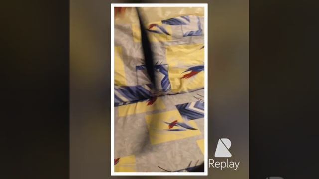 хорёк бесится crazy ferret смотреть онлайн