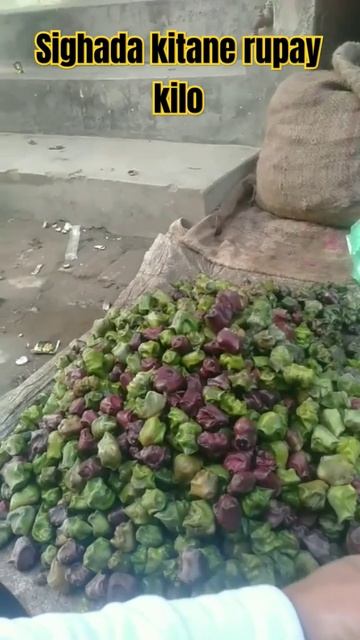 singhada kitane rupaye kilo #tranding #vlogs #sabjibazar #reenabkvlogs @reenabkvlogs смотреть онлайн