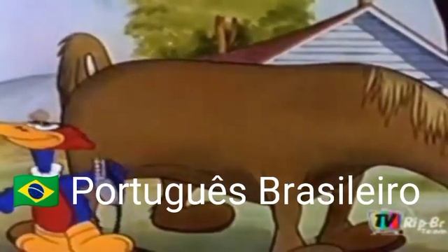 MINHA NOSSA NOSSA NOSSA EM VÁRIOS IDIOMAS [Versão Atualizada]