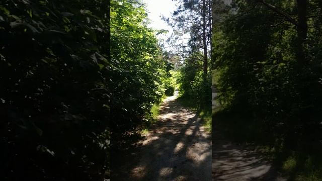 Дорога так явно , струится в тиши...Но только лишь Сердцем , шагами Души ....Доброго и до встречи ! смотреть онлайн