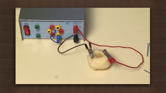 Flow of electricity through a potato creates blue starch iodide | Ions | Chemistry смотреть онлайн