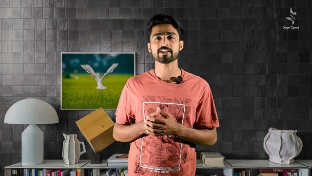 Income and Expenses of Wildlife Photography || വൈൽഡ് ലൈഫ് ഫോട്ടോഗ്രഫിയിലെ വരുമാനവും ചിലവുകളും смотреть онлайн