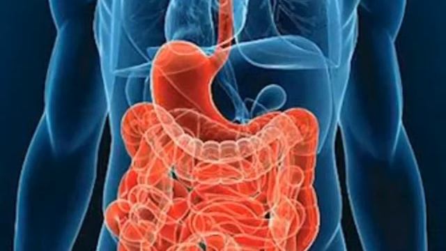 А чи знаєте Ви основні симптоми, які свідчать про порушення імунітету?