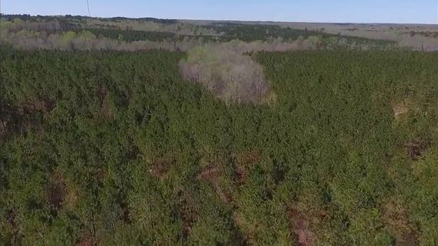 TRACT 20 KING RD MEDON, TN – 24.63 ACRES OWNER FINANCE WITH $1000 DOWN – LAND FOR SALE смотреть онлайн