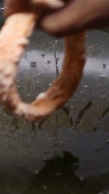 crispy onion ring #shorts #short #shortsvideo смотреть онлайн